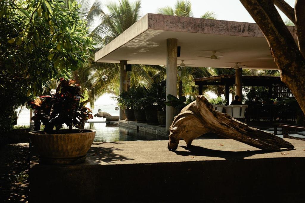 Lo Sereno Casa De Playa ตรอนโกเนส ภายนอก รูปภาพ
